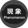 現象 Phenomenon